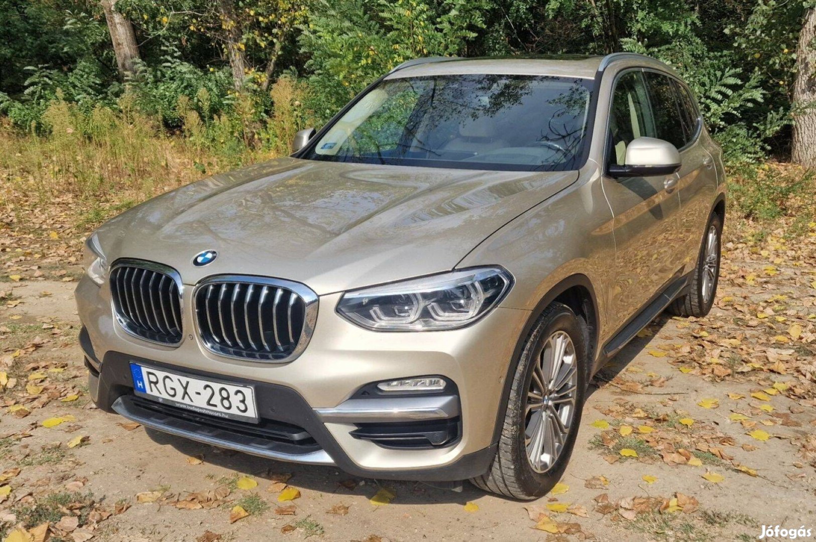 BMW X3 xdrive30d Luxury (Automata)