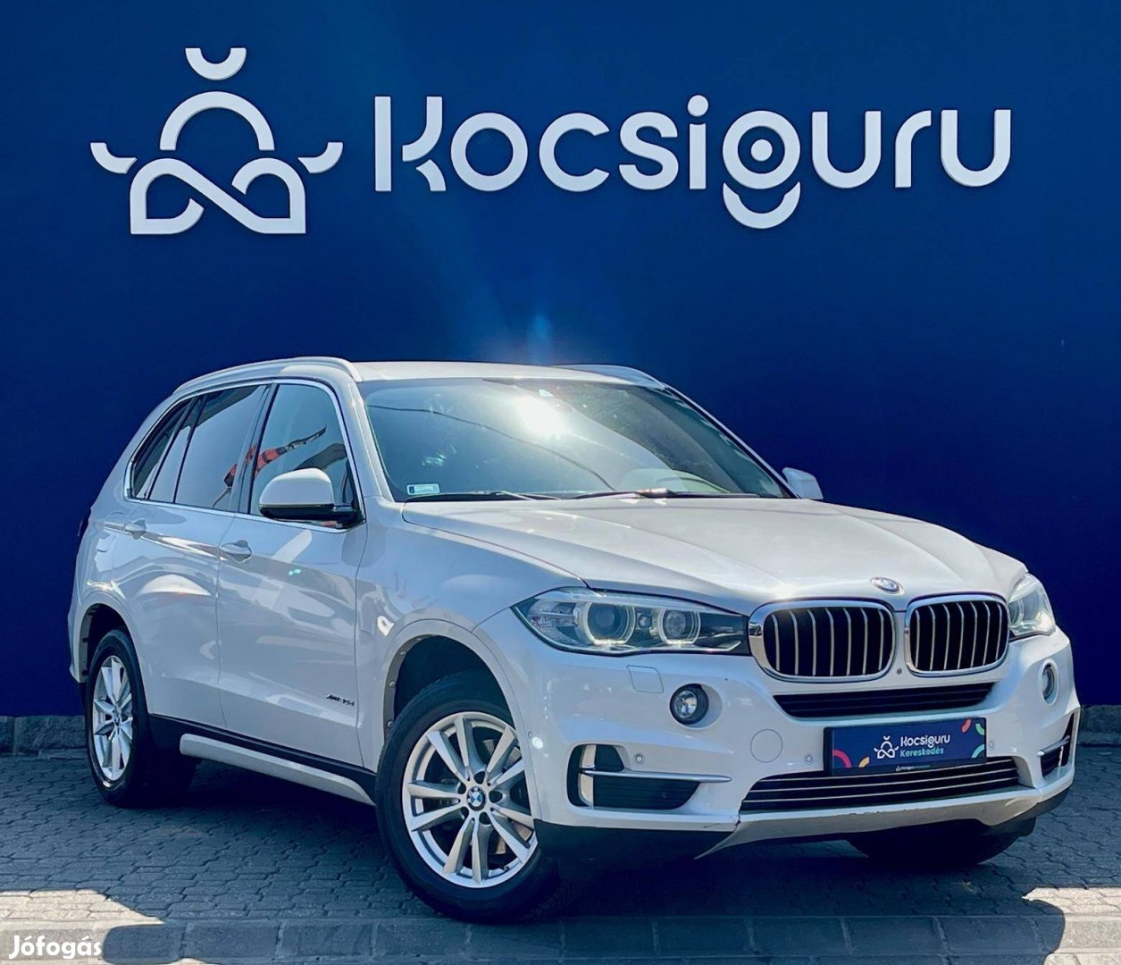 BMW X5 xdrive30d (Automata) / Mo-i!/ Vezetett S...