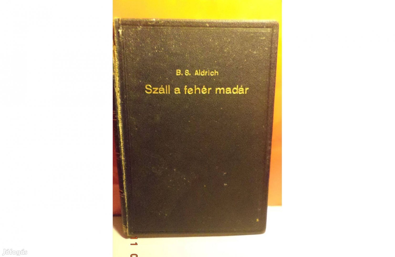 B. S. Aldrich: Száll a fehér madár