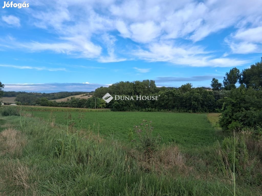 Bábonymegyeri eladó 7275 nm-es telek