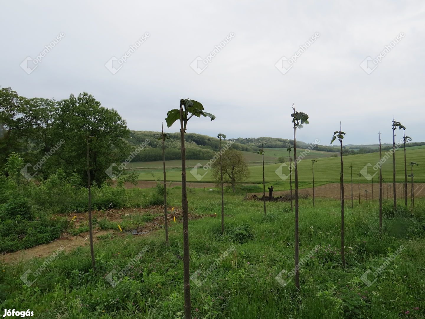 Babosdöbrétén panorámás építési telek eladó