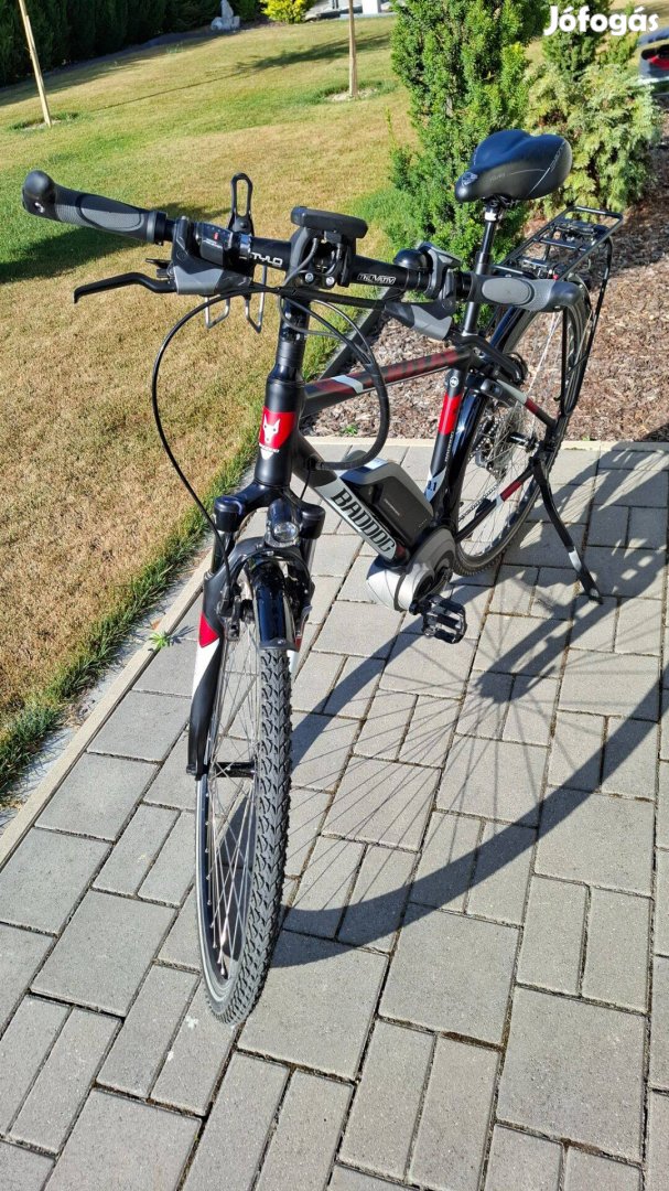 Baddog 9.1 e-bike Trekking