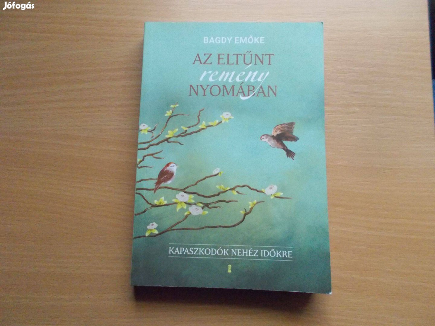 Bagdy Emőke: Az eltűnt remény nyomában - Kapaszkodók nehéz időkre