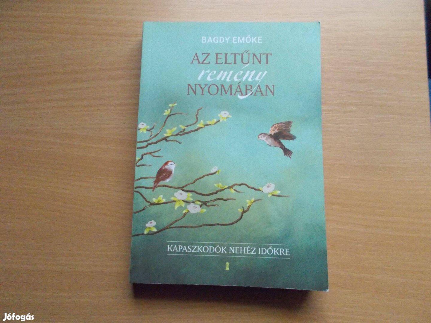 Bagdy Emőke: Az eltűnt remény nyomában - Kapaszkodók nehéz időkre