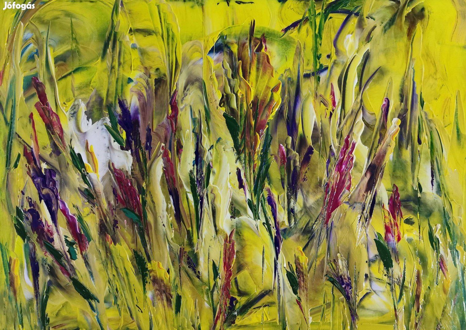 Baján Ildikó festmény 50 x 70 cm. Sárga mező