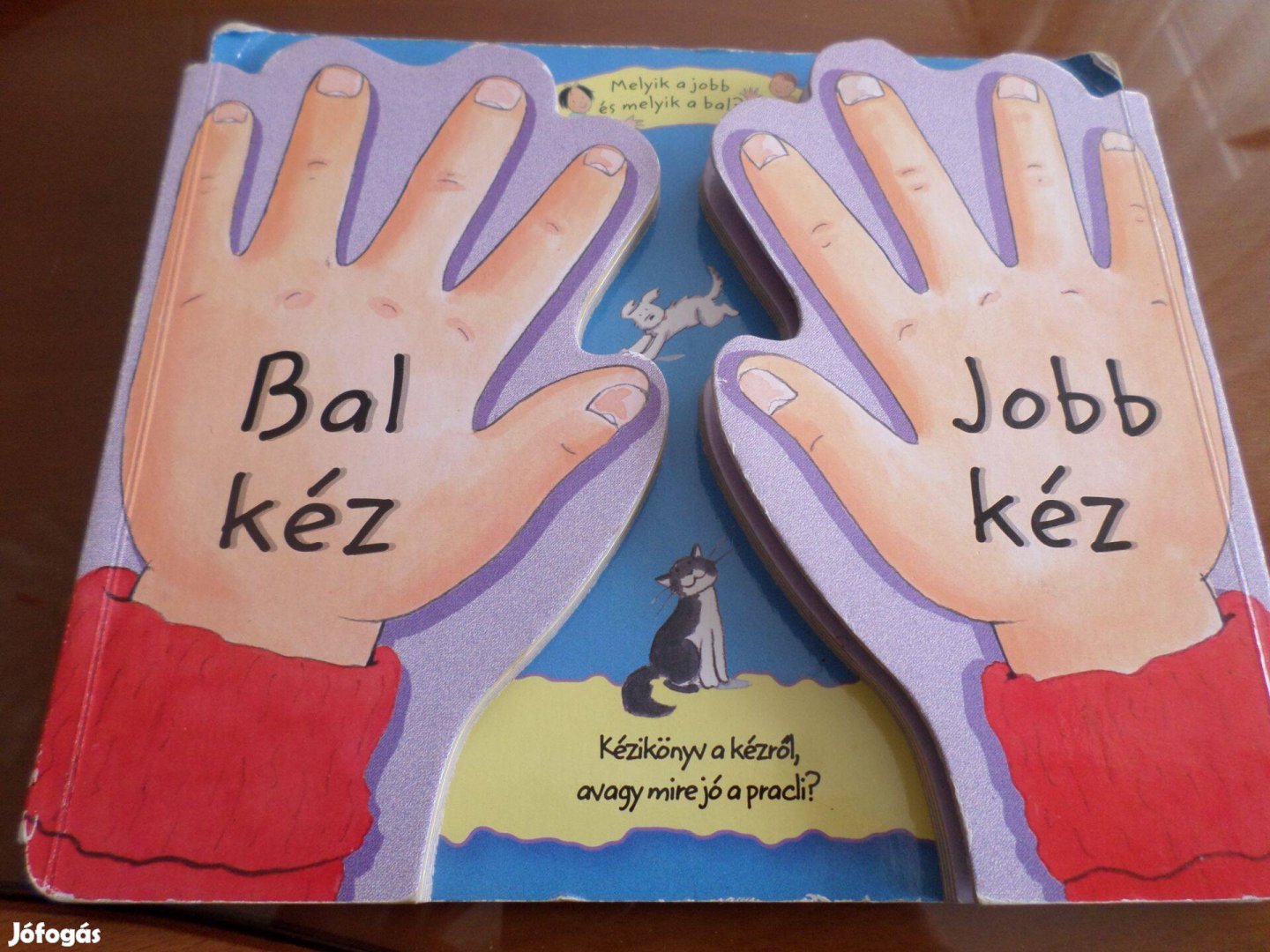 Bal kéz - Jobb kéz, Ritka! Janet Allison Brown 2006 Gyermekkönyv