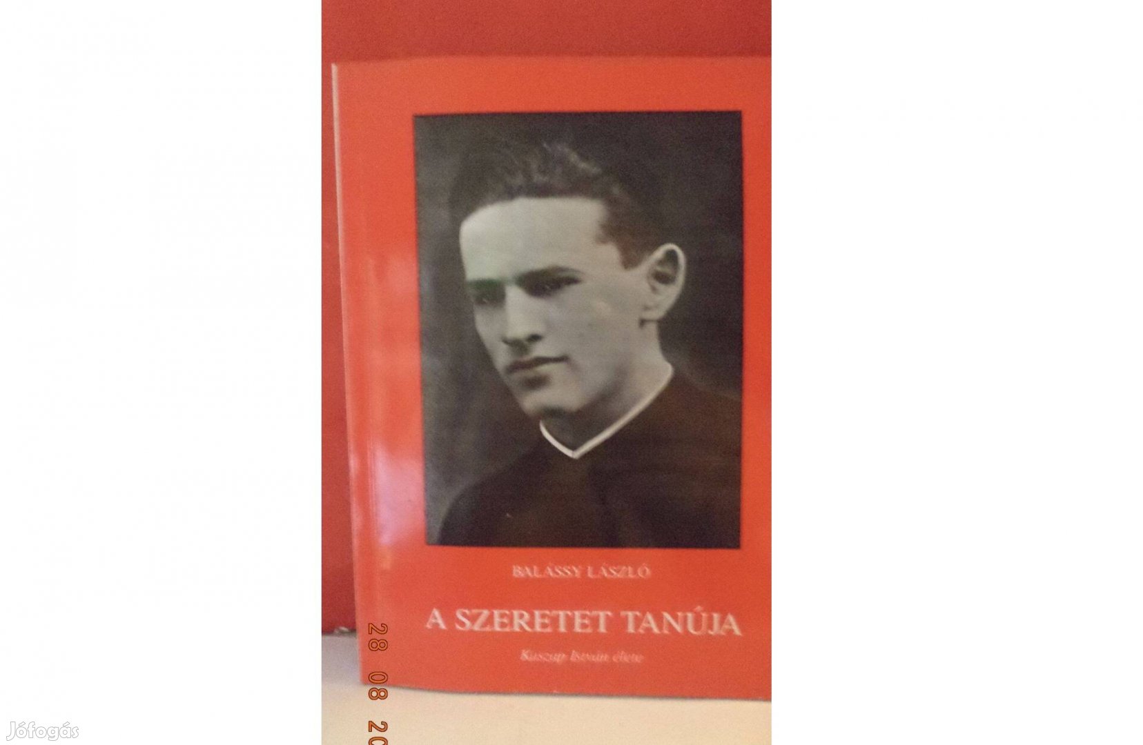 Balássy László: A szeretet tanúja