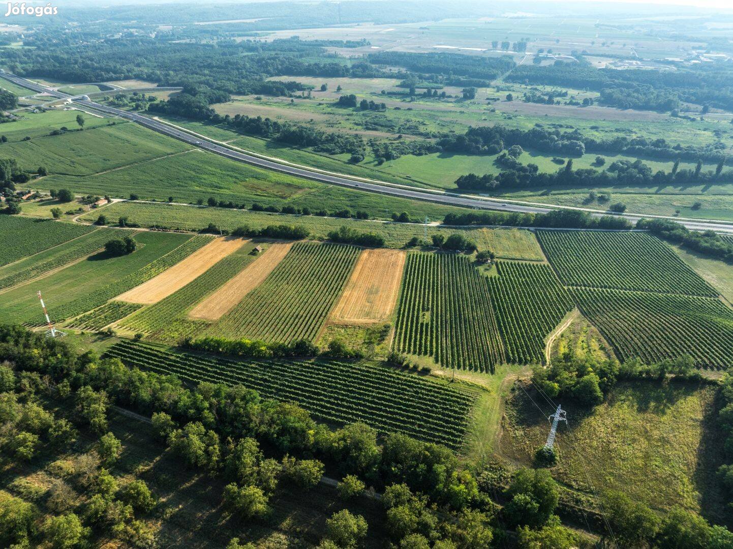 Balaton Közelében Szőlőbirtok Eladó