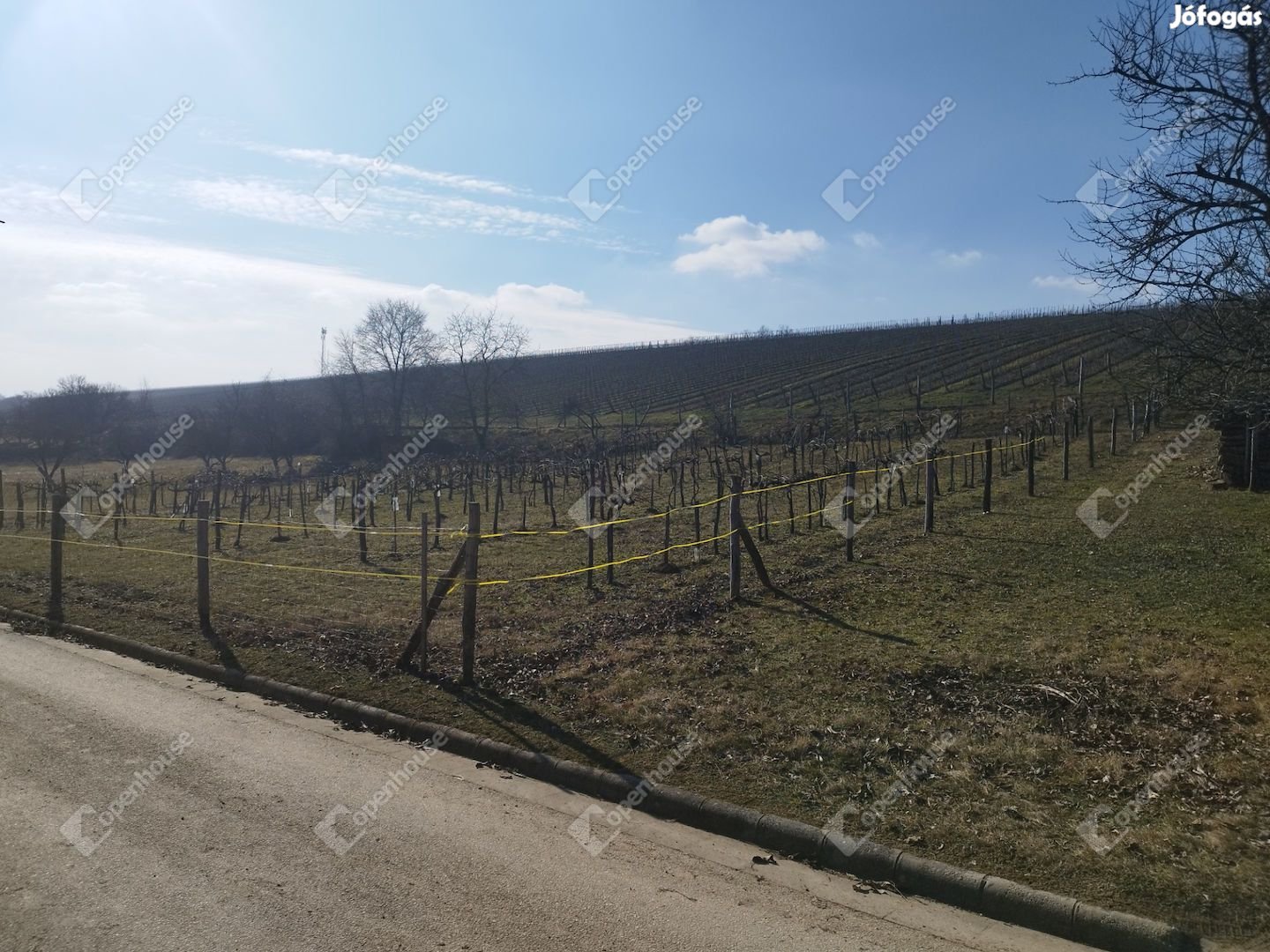 Balaton közeli hangulatos nyaraló, pince eladó!