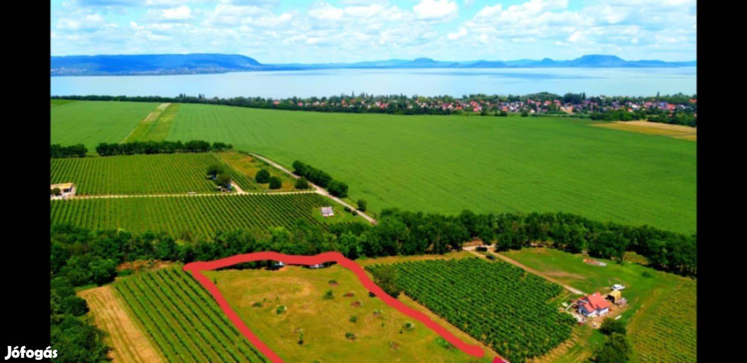 Balaton panormámás Birtok Balatonkeresztúr 7000m2 Házzal Villannyal