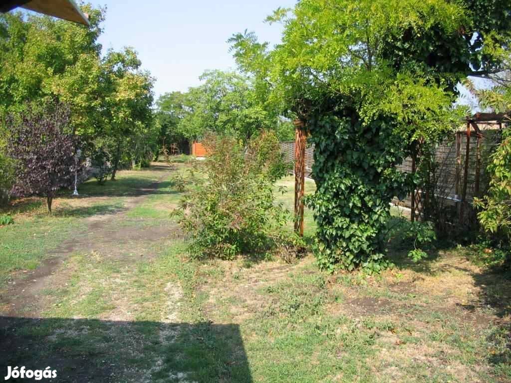 Balatonakali magán kemping Camping