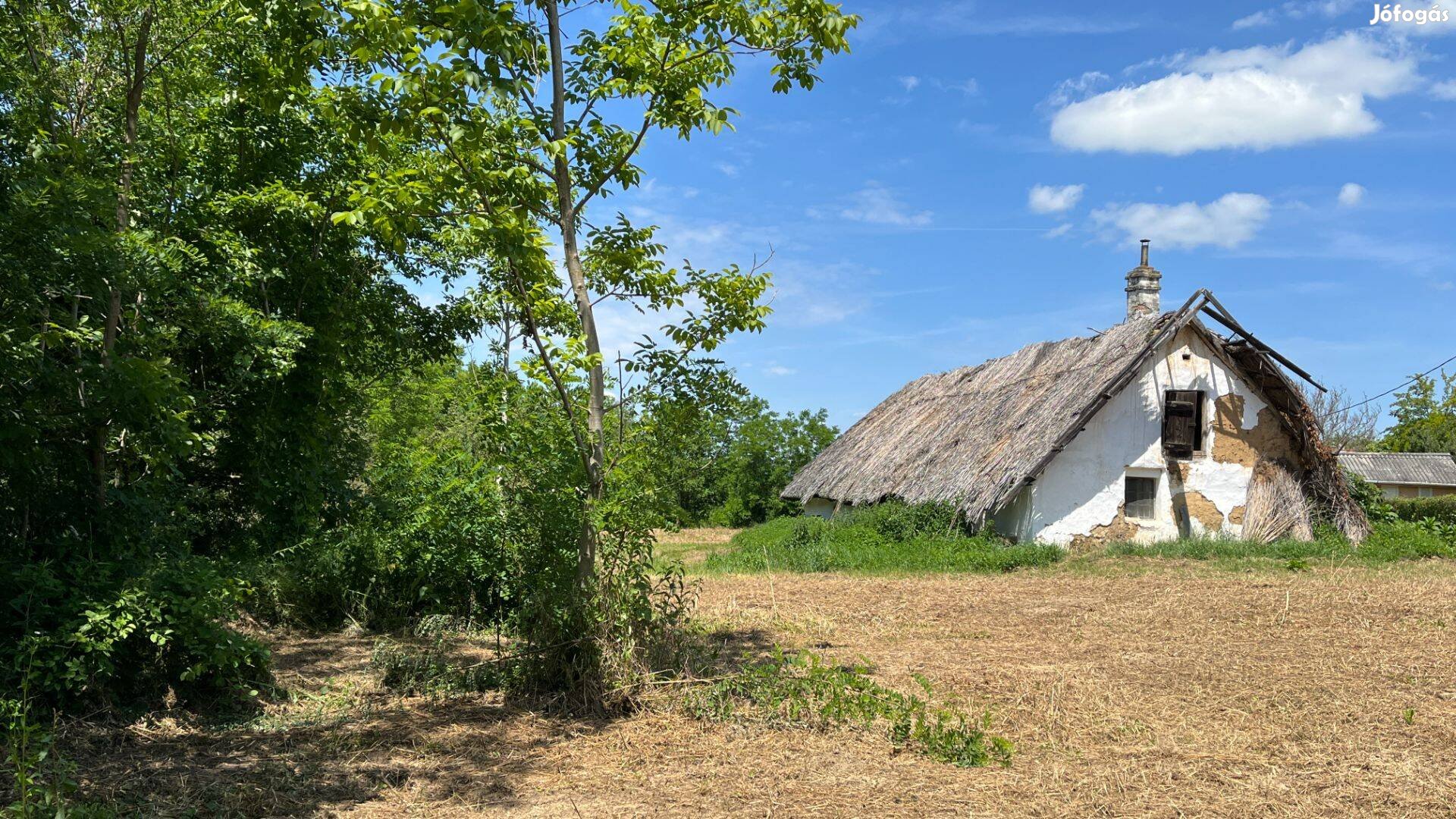 Balatonberényi zártkerti ingatlan eladó a szőlőhegyen!