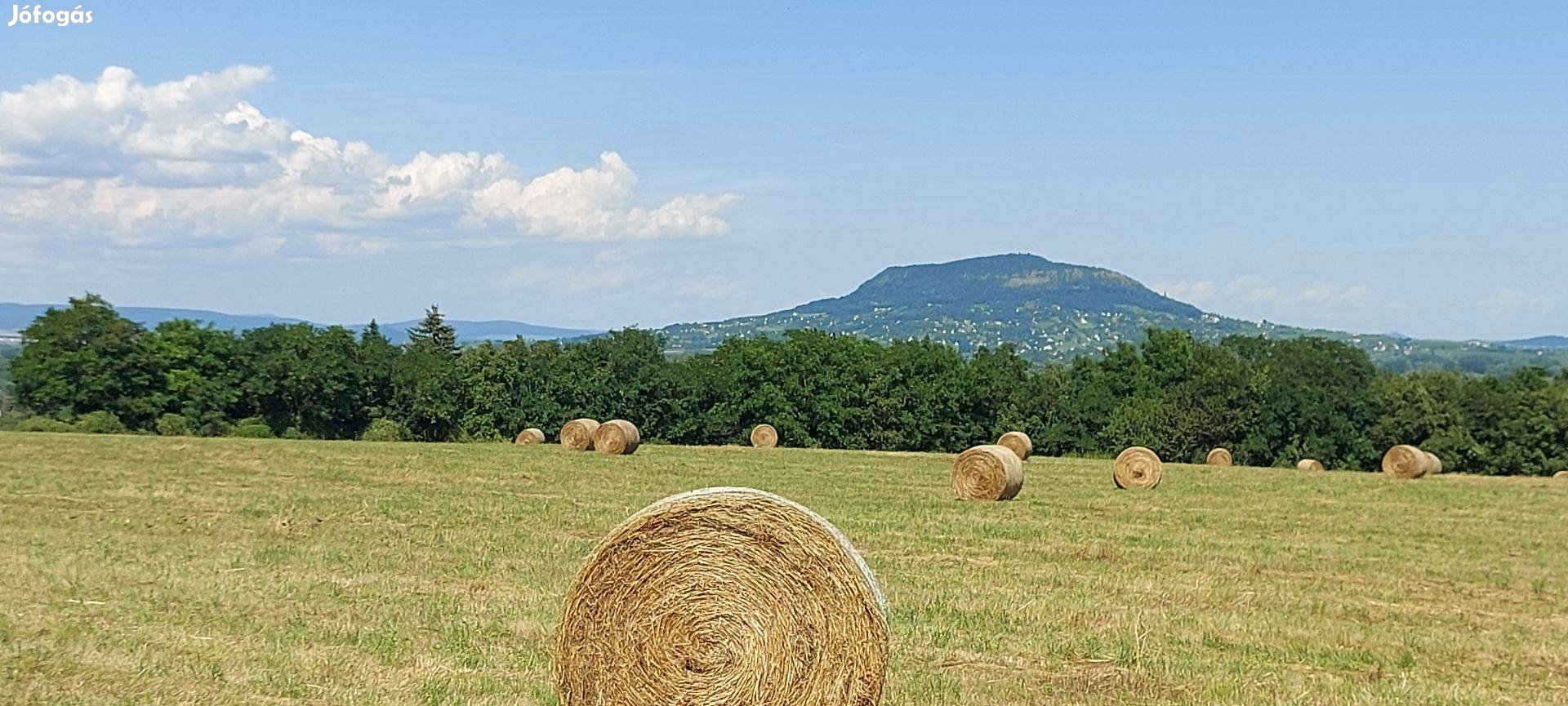 Balatonedericsen Telek Eladó !