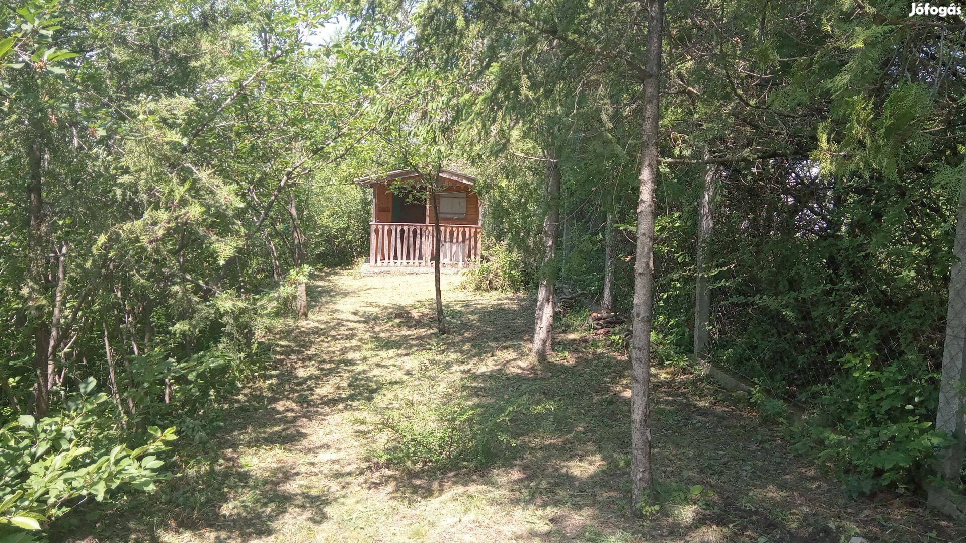 Balatonfűzfő üdülőtelek