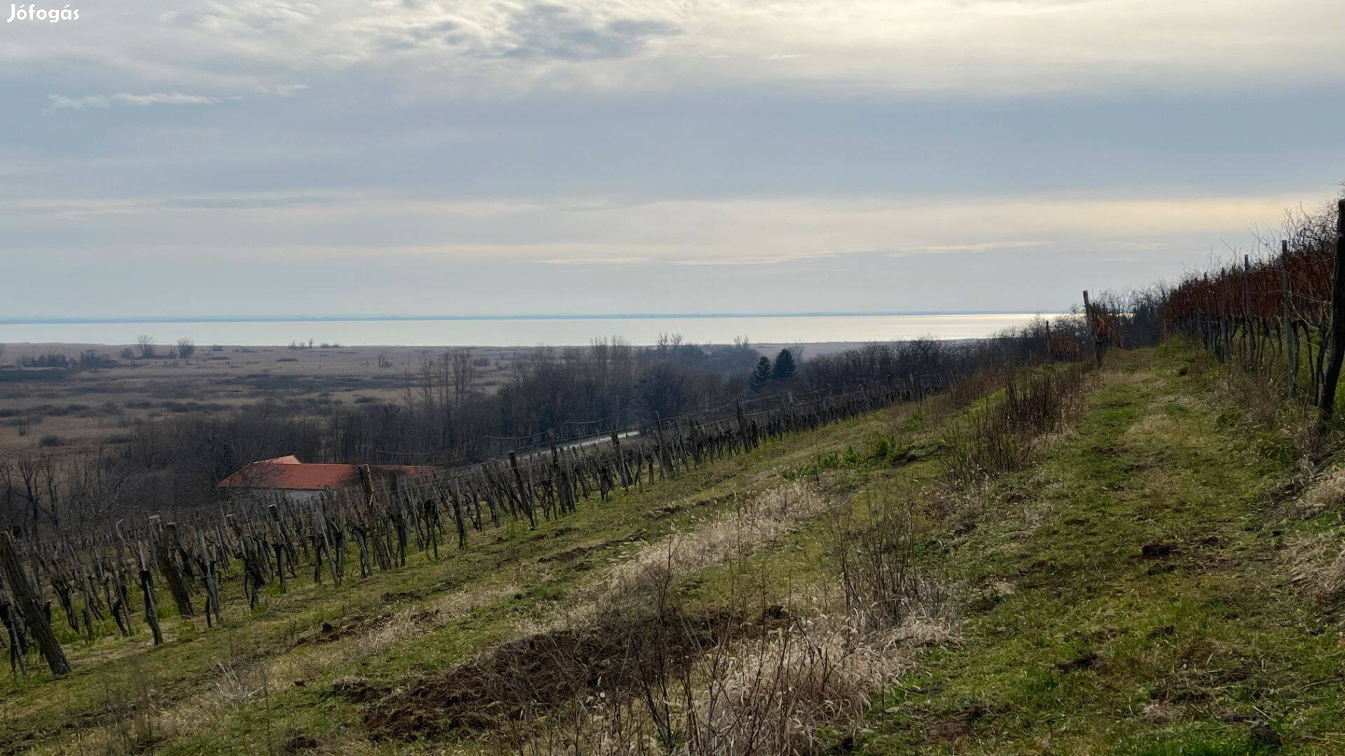 Balatoni Örökpanorámás telek Szigligeten eladó!