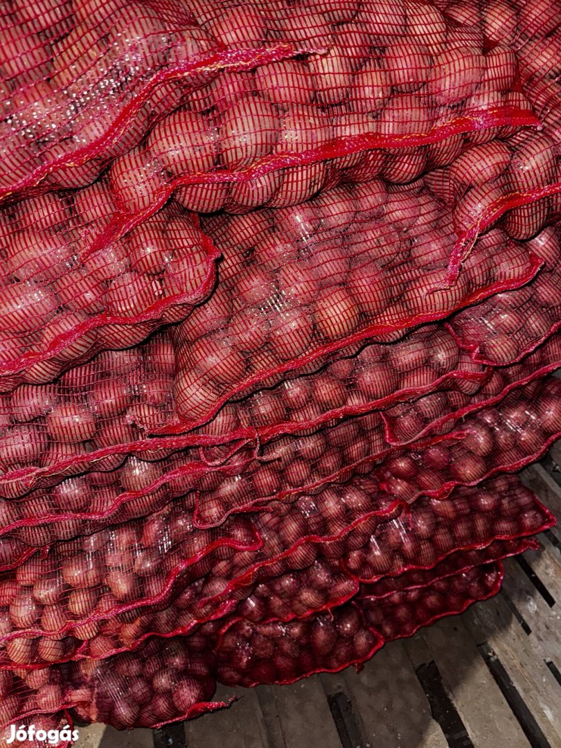 Balatoni Rózsa vetőmag