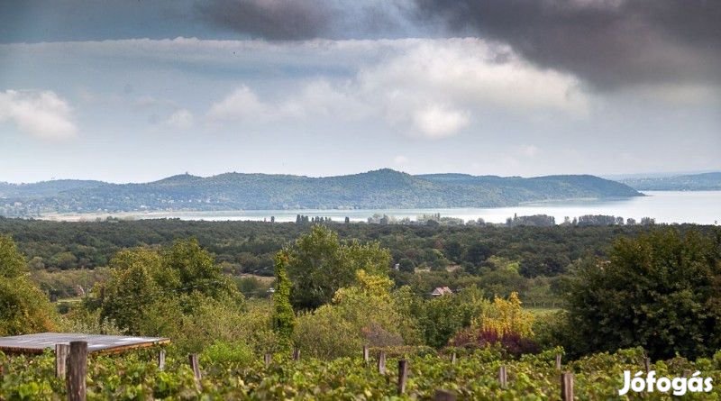 Balatoni panorámás családi birtok eladó! - Balatonudvari