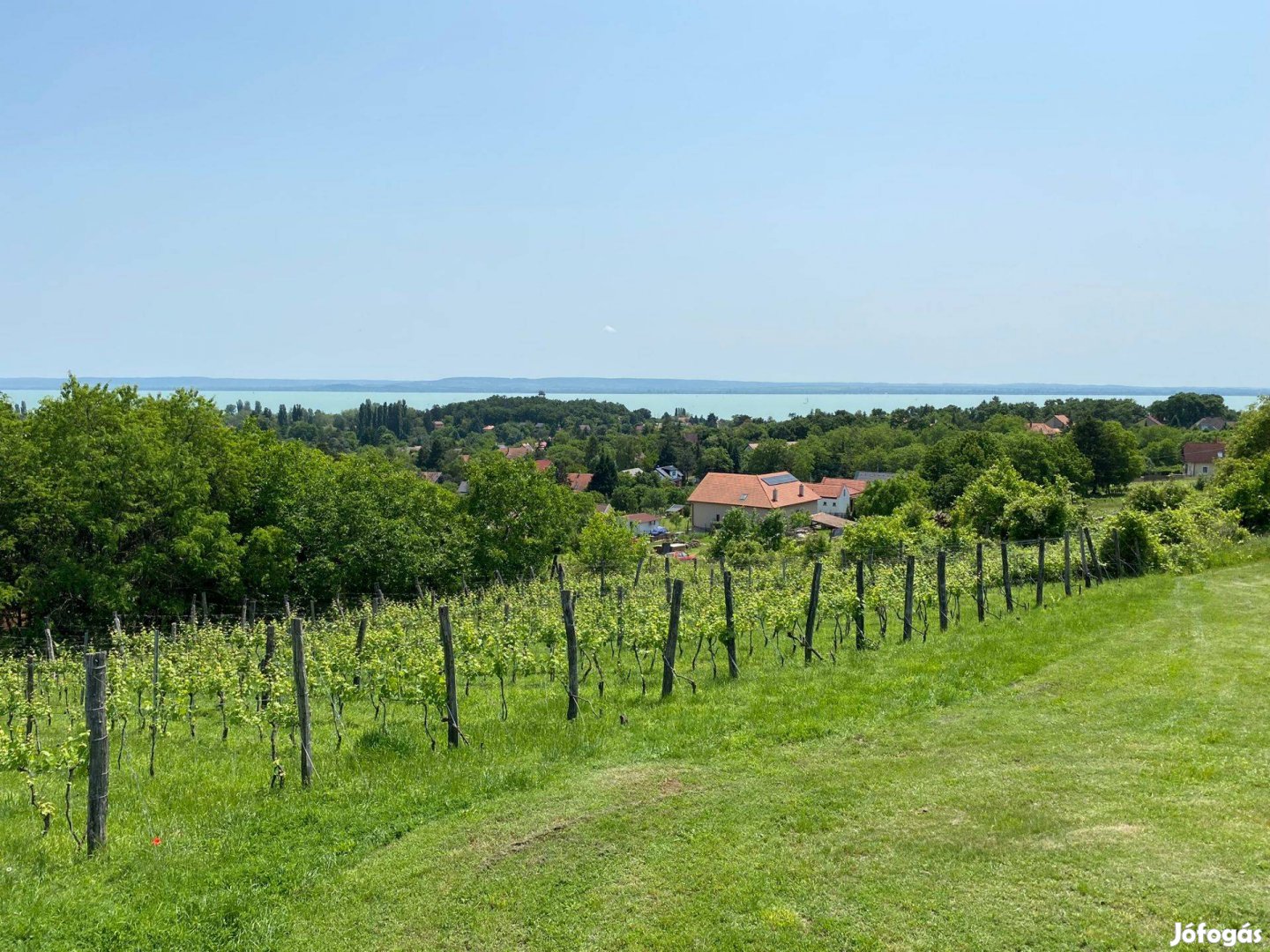 Balatoni panorámás telek Ábrahámhegyen!