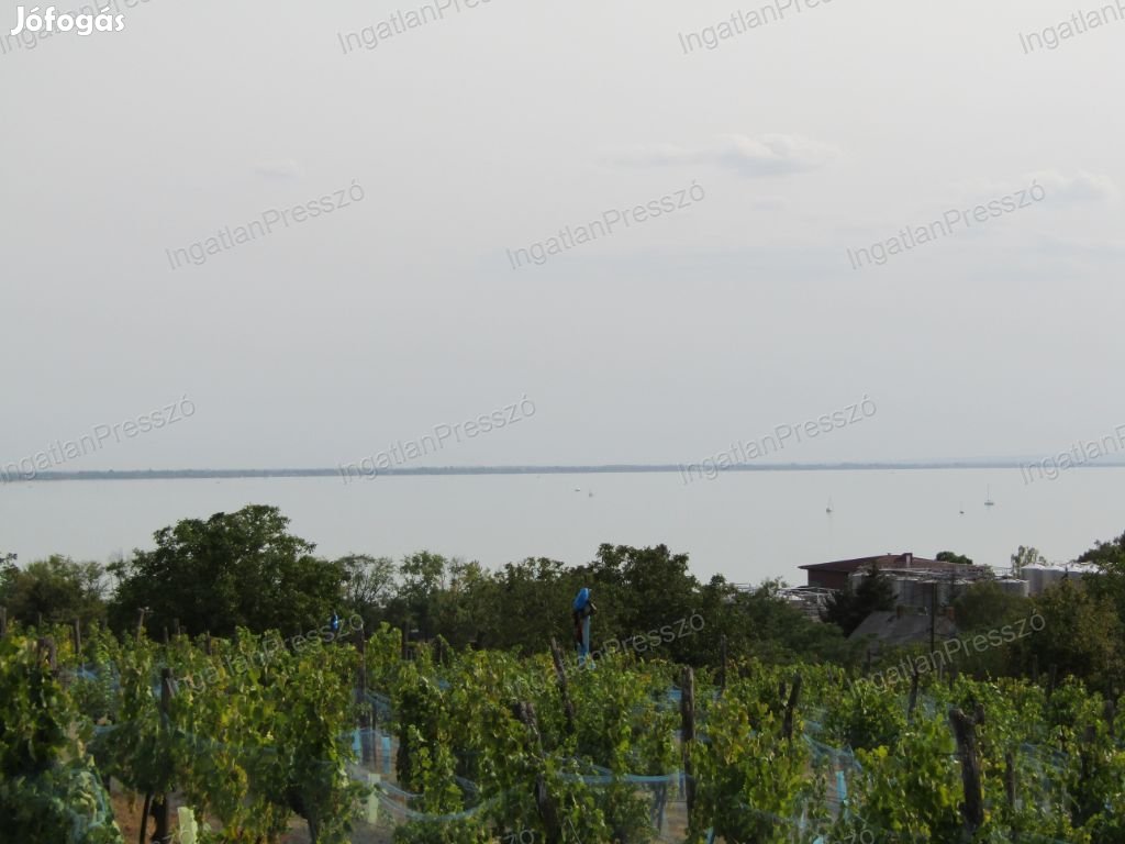 Balatoni panorámás zártkert eladó Badacsonyörsön