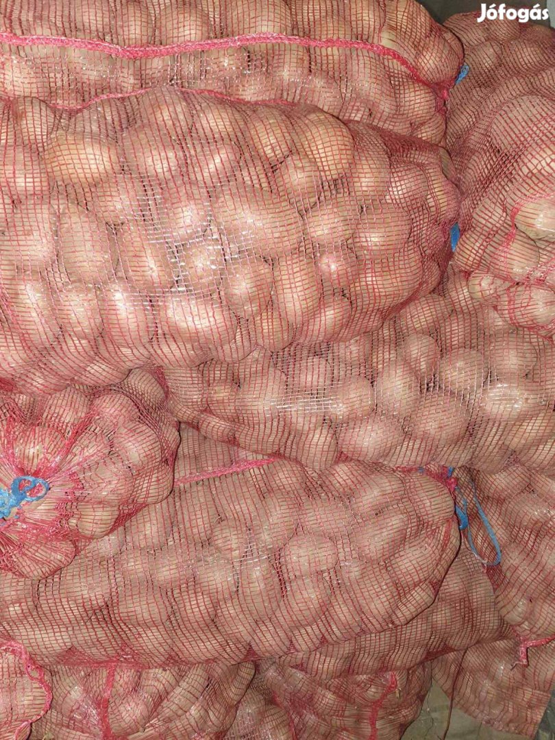 Balatoni rózsa étkezési és vető burgonya