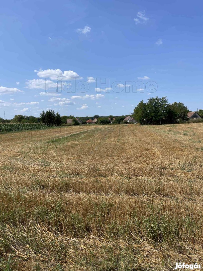 Balatonszabadi Zártkert Eladó