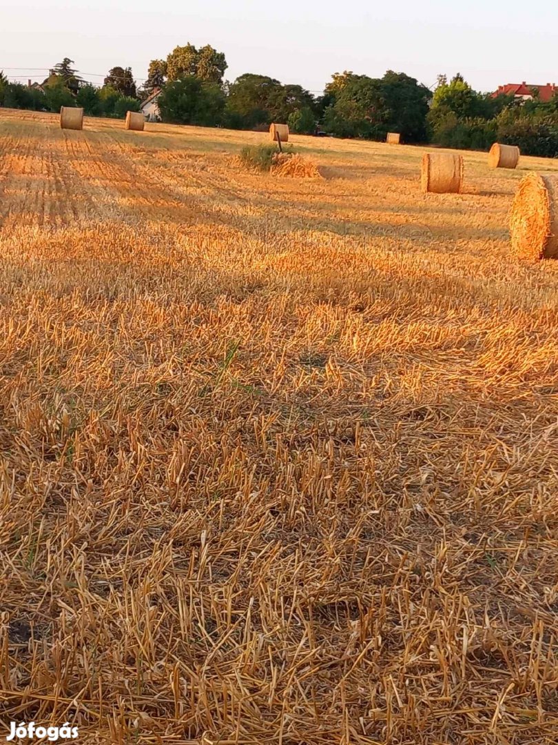 Balatonszabadiban mezőgazdasági telek eladó