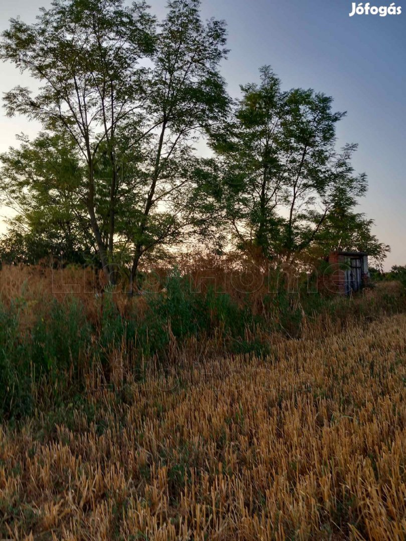 Balatonszabadiban mezőgazdasági telek eladó