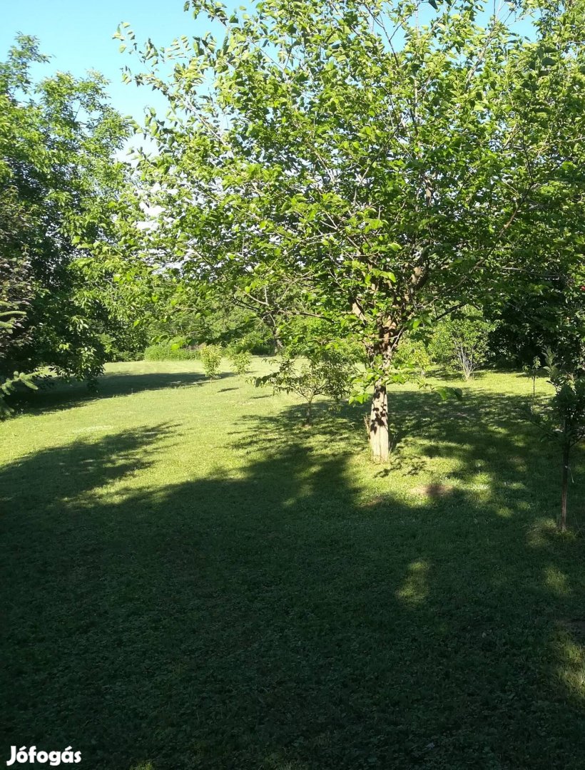 Balatonszárszón epítesi telek eladó