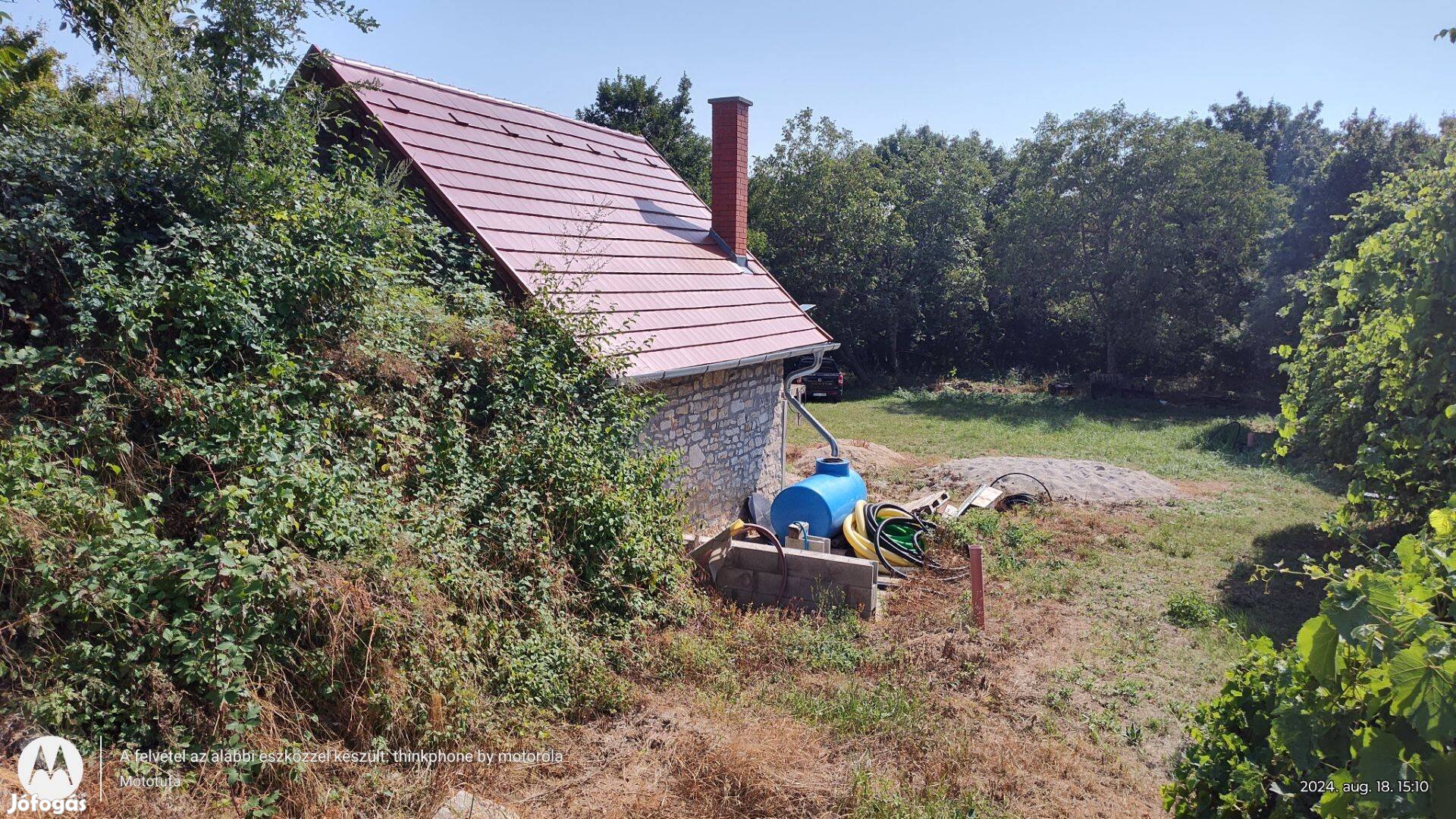 Balatonszőlős erdő mélyén házikó