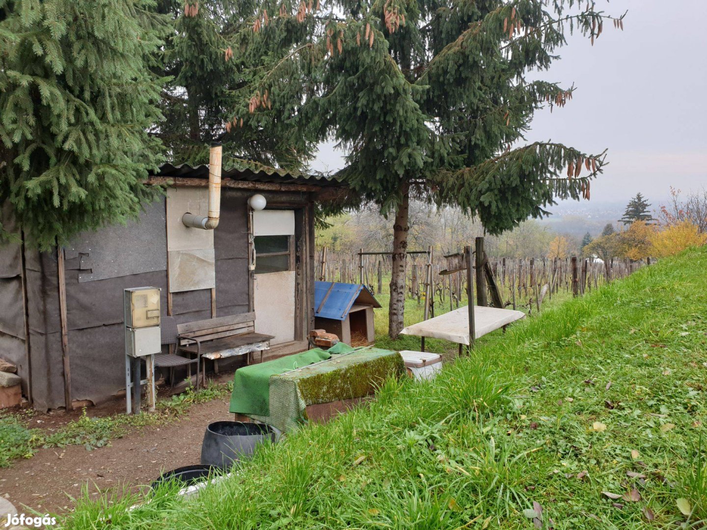 Balatontól 3 km-re kis pince szőlővel eladó Badacsonytomaj közelében
