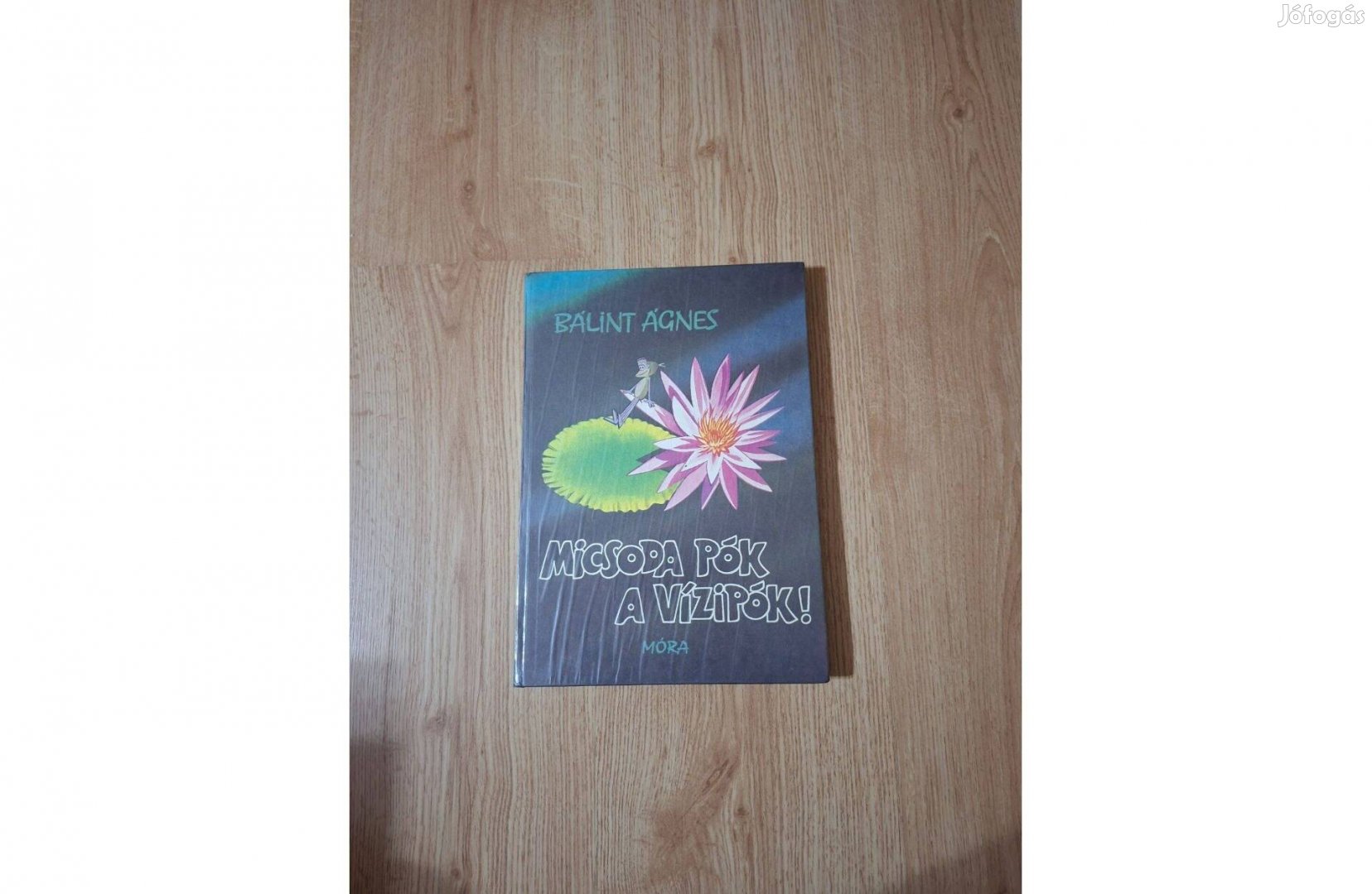 Bálint Ágnes Micsoda pók a vízipók!