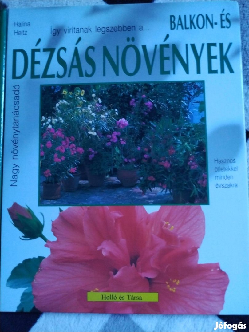 Balkon-Dézsás Növények tanácsadó 