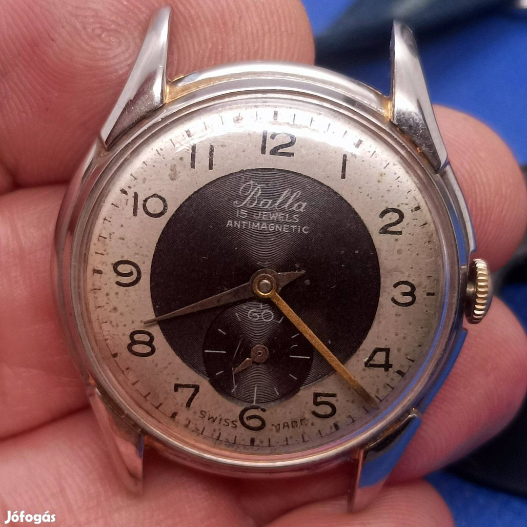 Balla bicolor Karóra