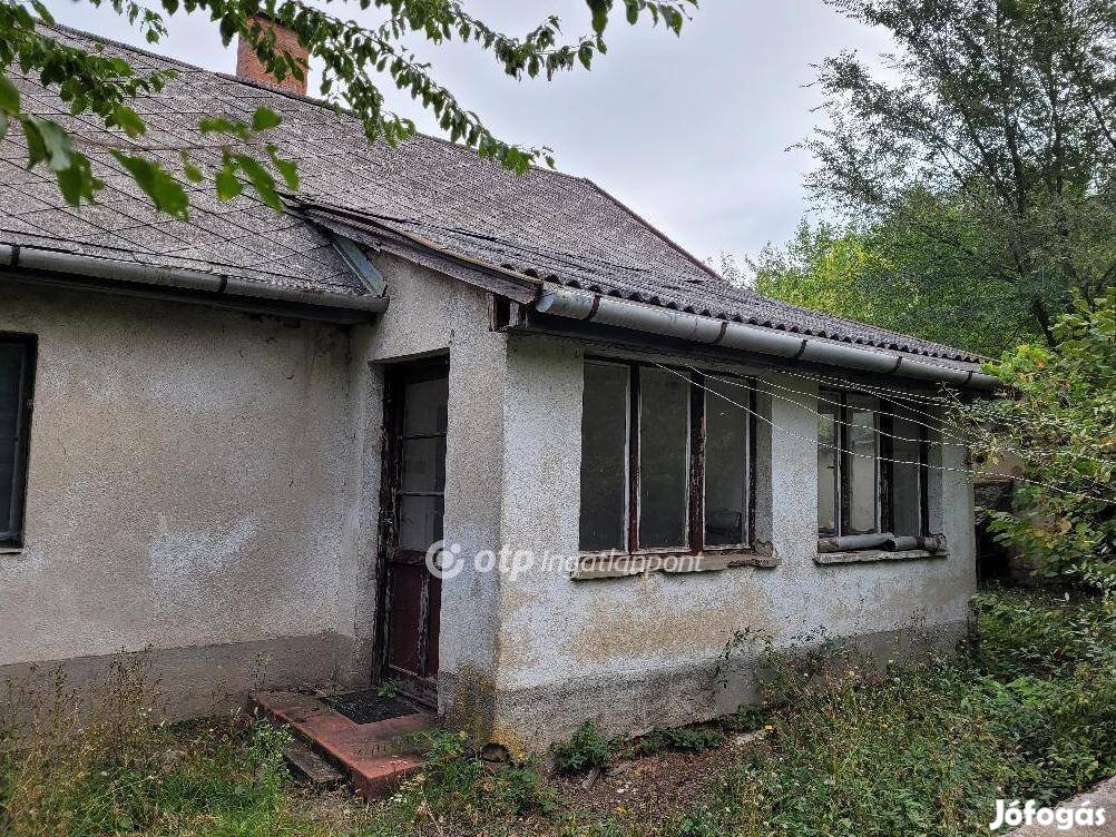 Balmazújvárosi 5371 nm-es telek eladó 5131771