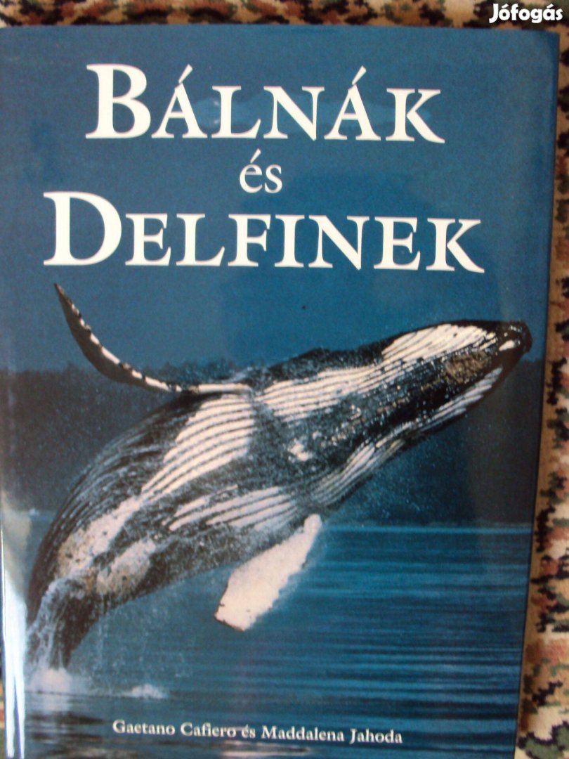 Bálnák és delfinek könyv