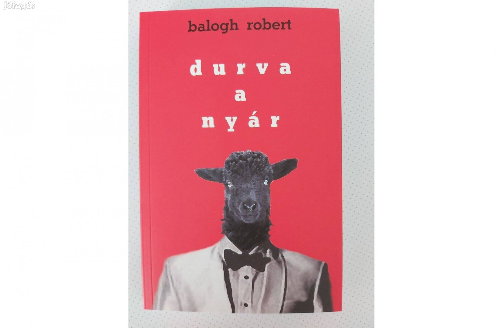 Balogh Robert: Durva a nyár