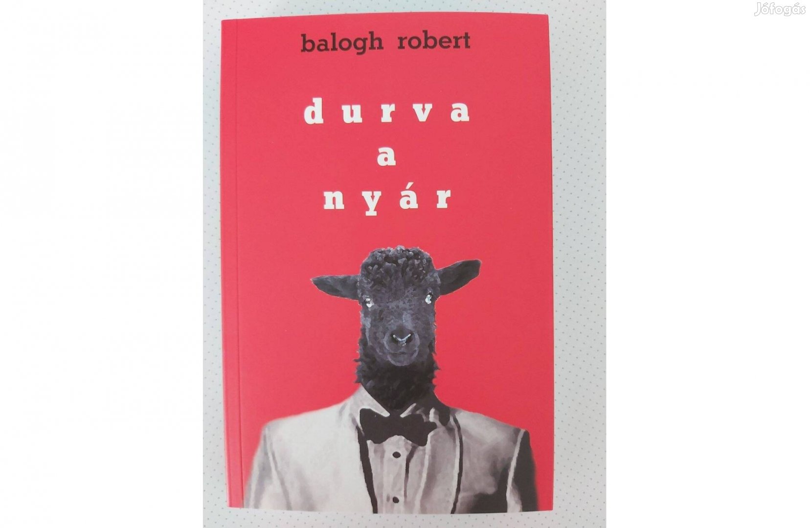 Balogh Robert: Durva a nyár