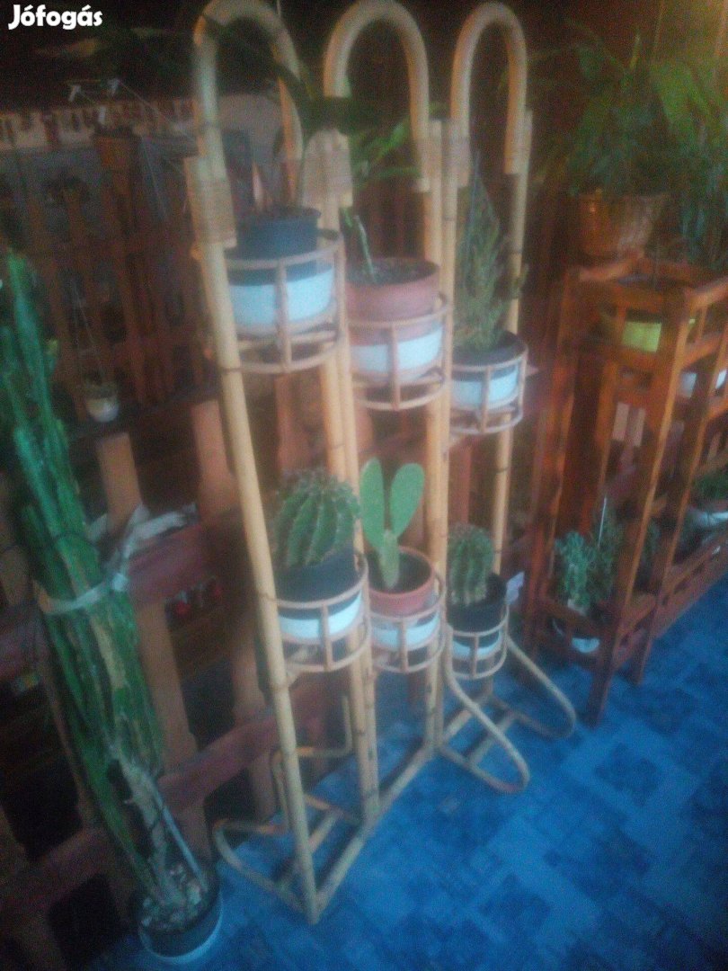 Bambusz Virágállvány