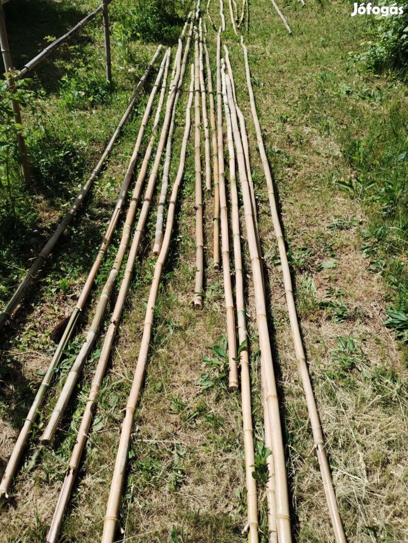 Bambusz karó Zalaegerszeg