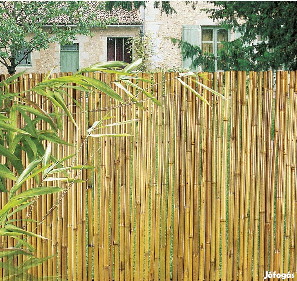 Bambusz szál 120 országos ingyenes szállítással, csomagban