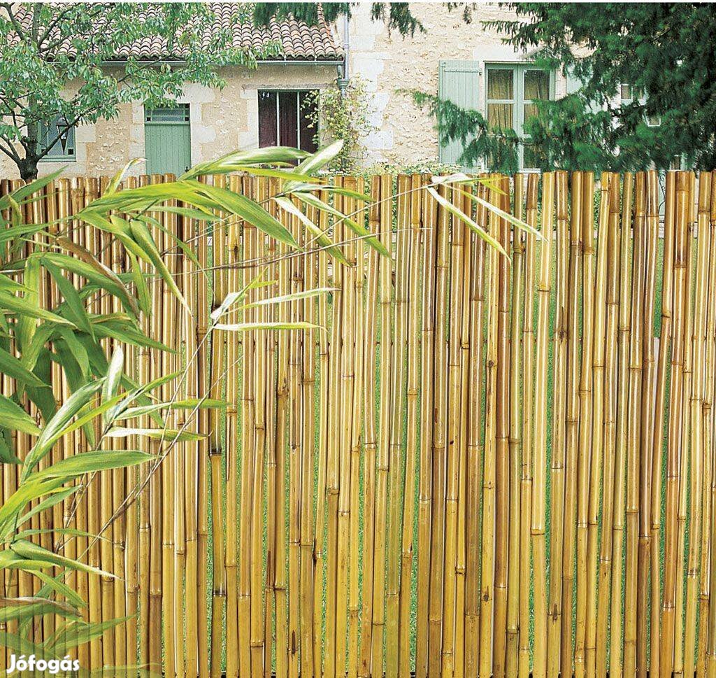 Bambusz szál országos ingyenes szállítással, csomagban eladó, 1,2 m m