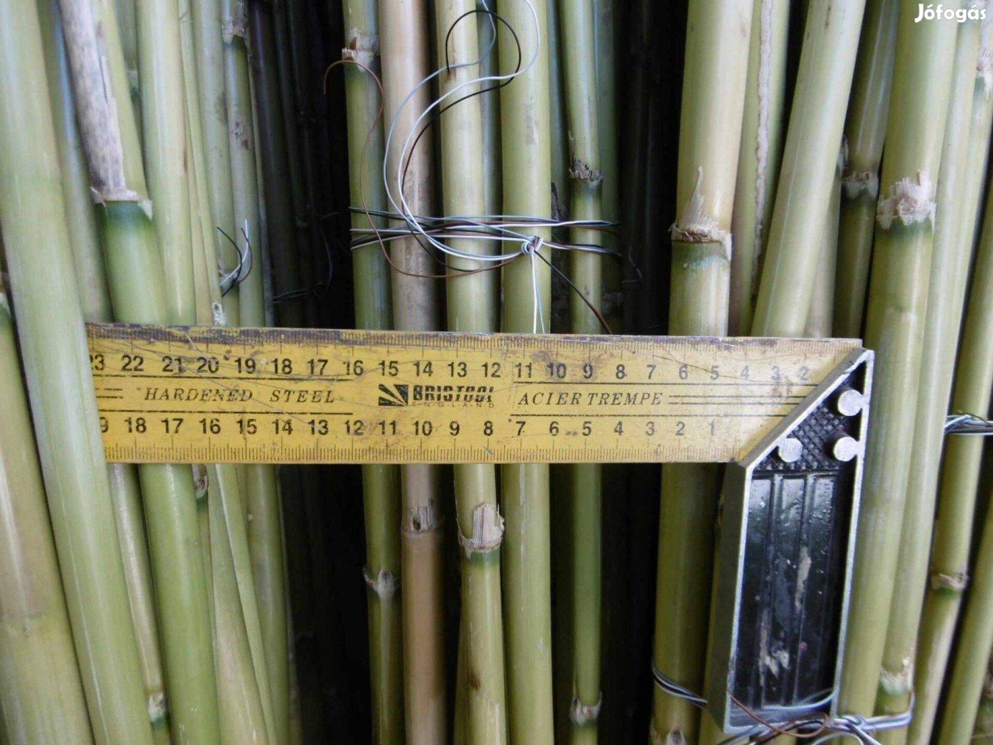 Bambusz virág,,,,.támasz