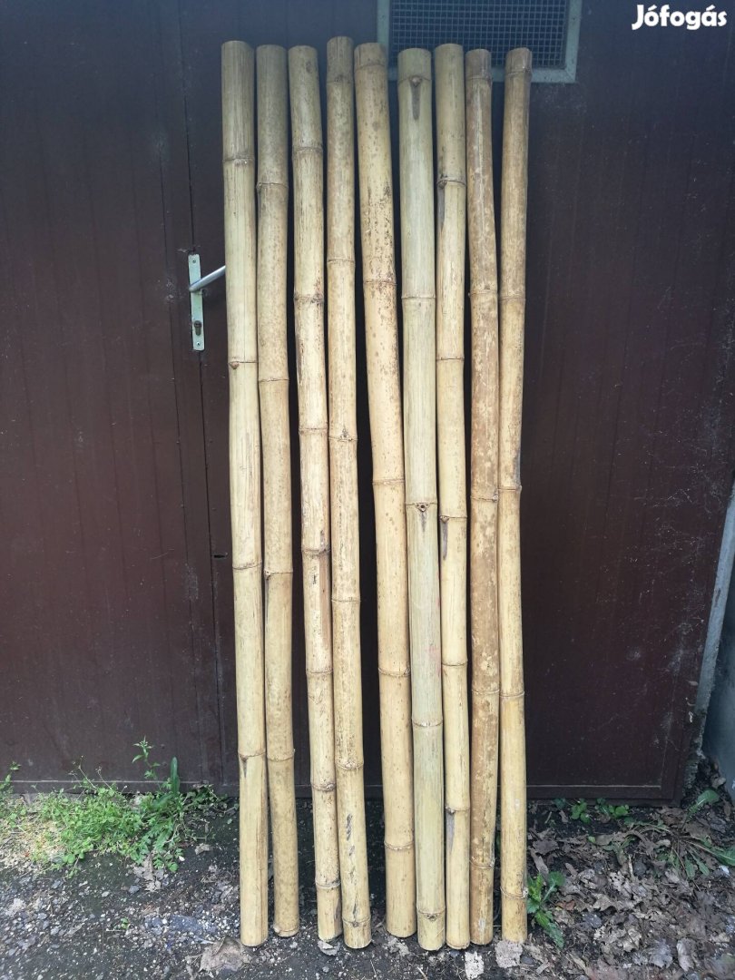 Bambusznád 10cm átmérőjű 220cm 9db eladó