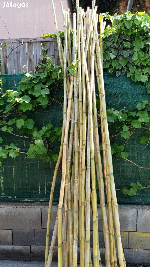 Bambuszrúd 2.5-5cmx240-270cm