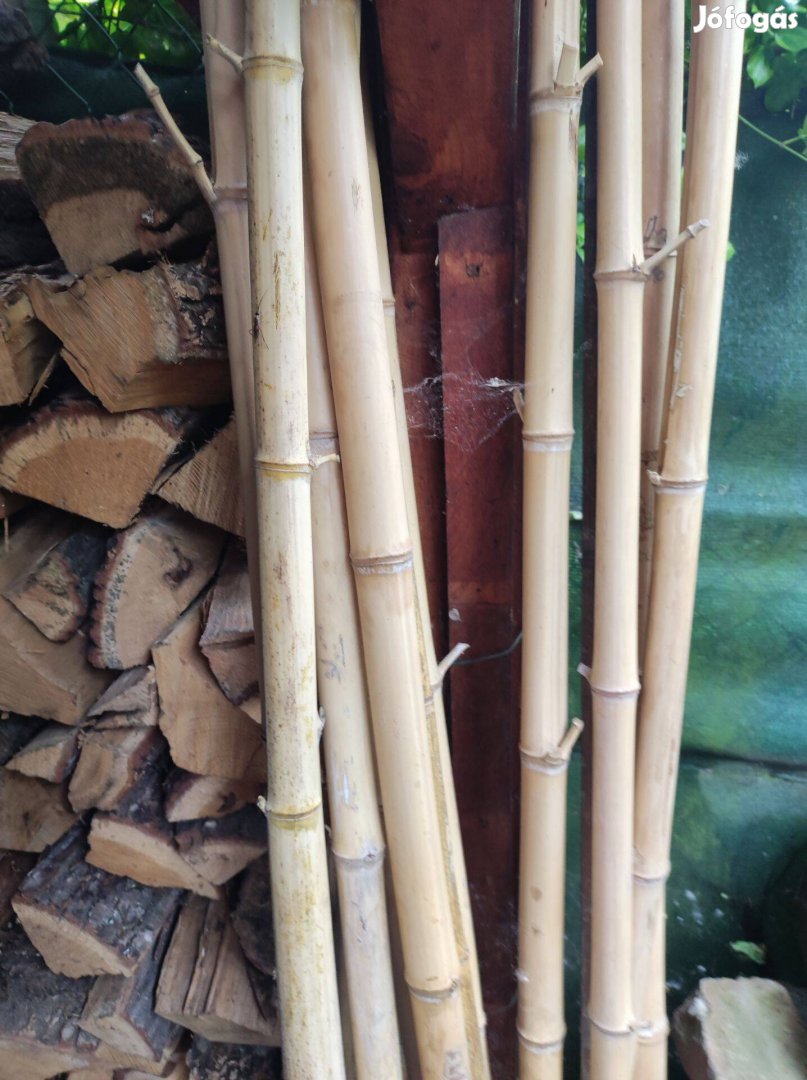 Bambuszrudak