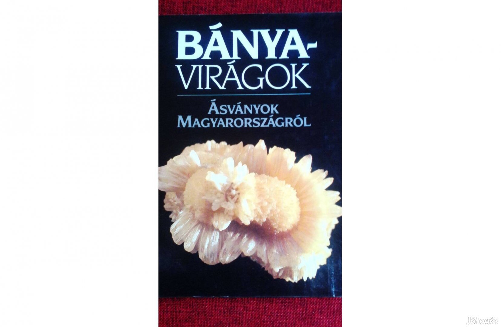 Bányavirágok-Ásványok Magyarországról Lázár István-Baksa Csaba Corvina