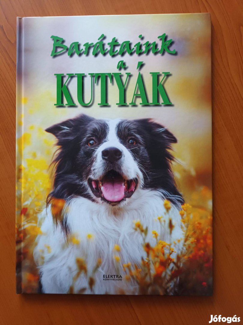 Barátaink a kutyák című új, olvasatlan könyv