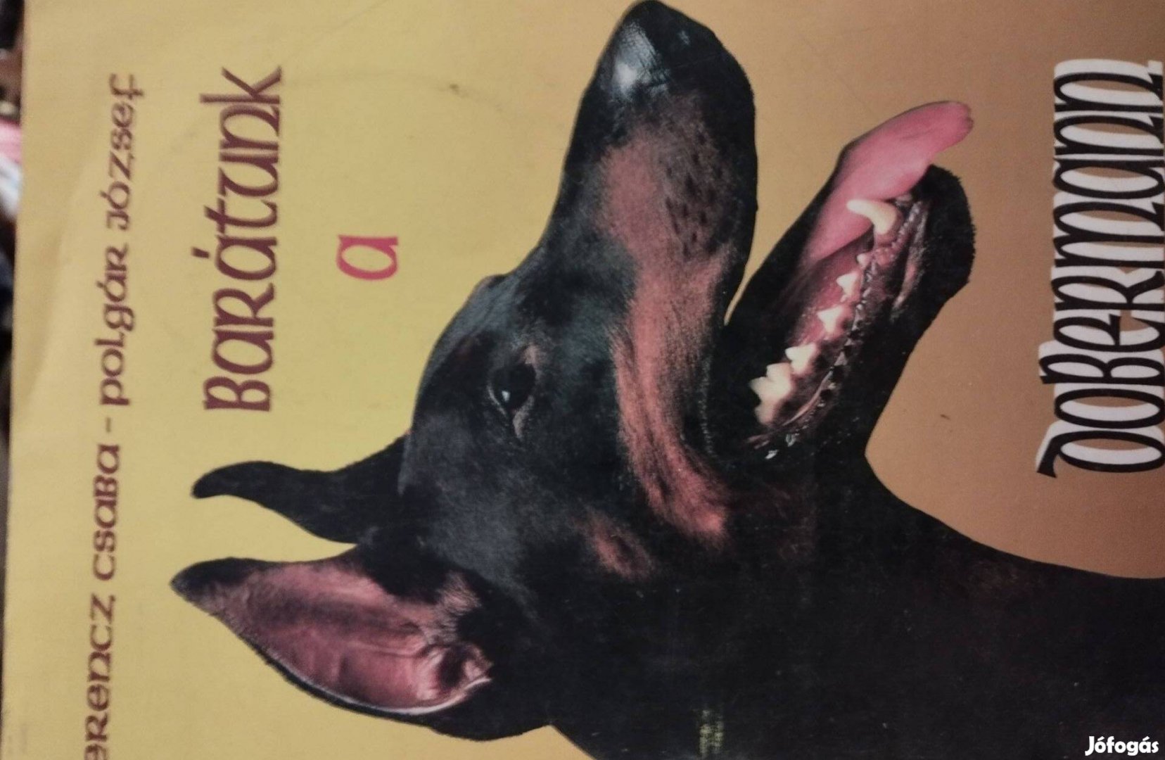 Barátunk A Dobermann