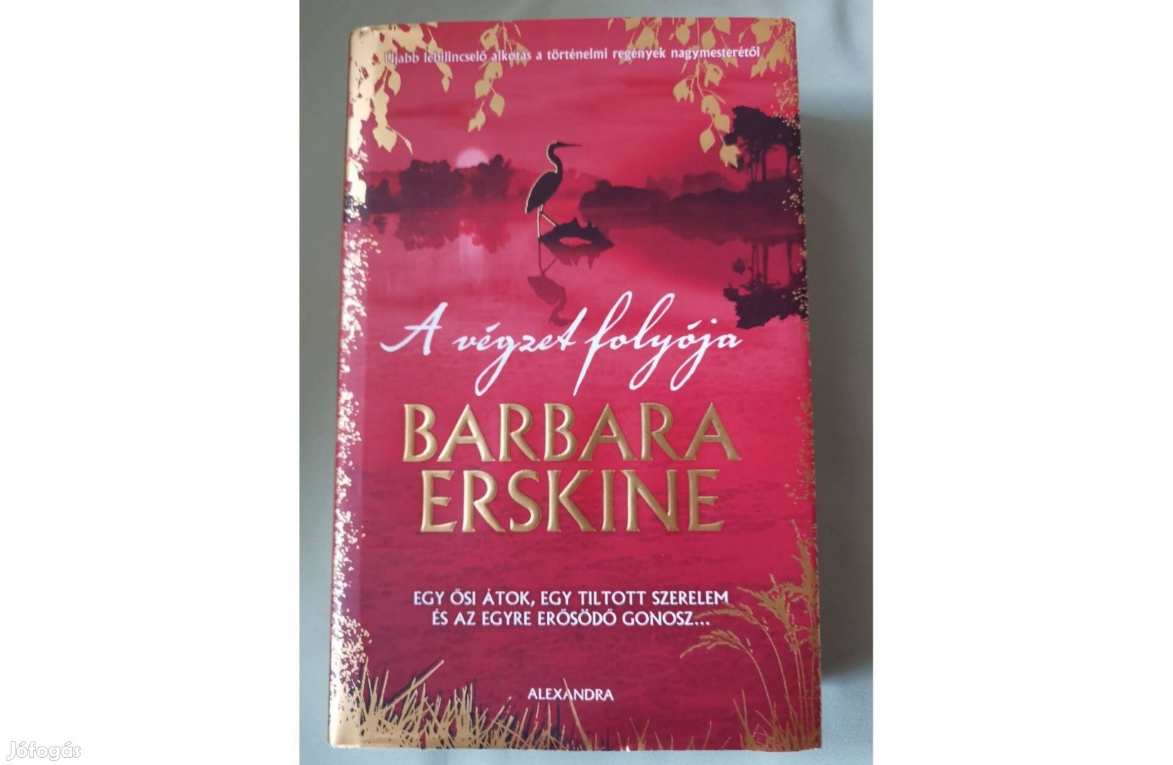 Barbara Erskine A végzet folyója c. könyve