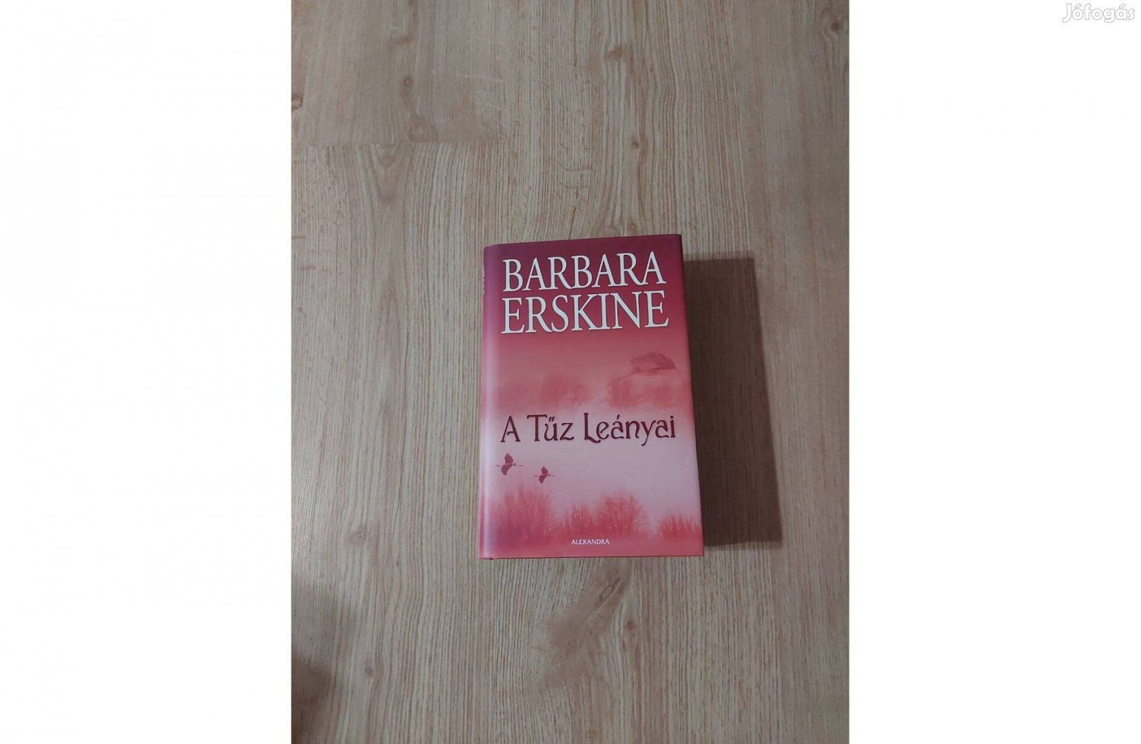 Barbara Erskine: A Tűz Leányai